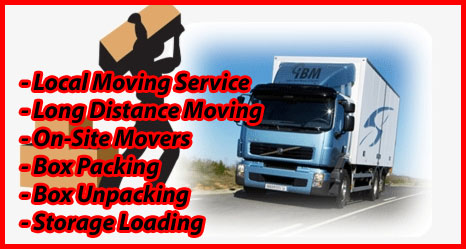 Packers And Movers Noida Sector 48